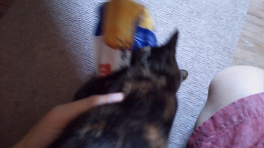 食パンを襲うネコ03