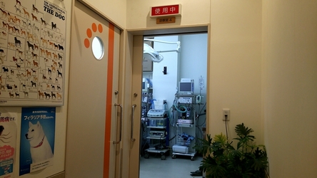 動物病院の検査室